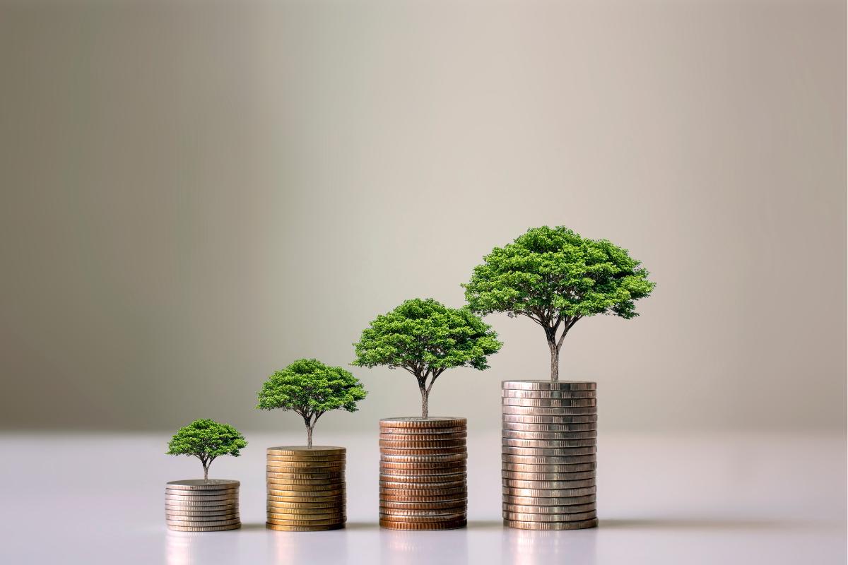 Los índices de referencia frente a una economía verde